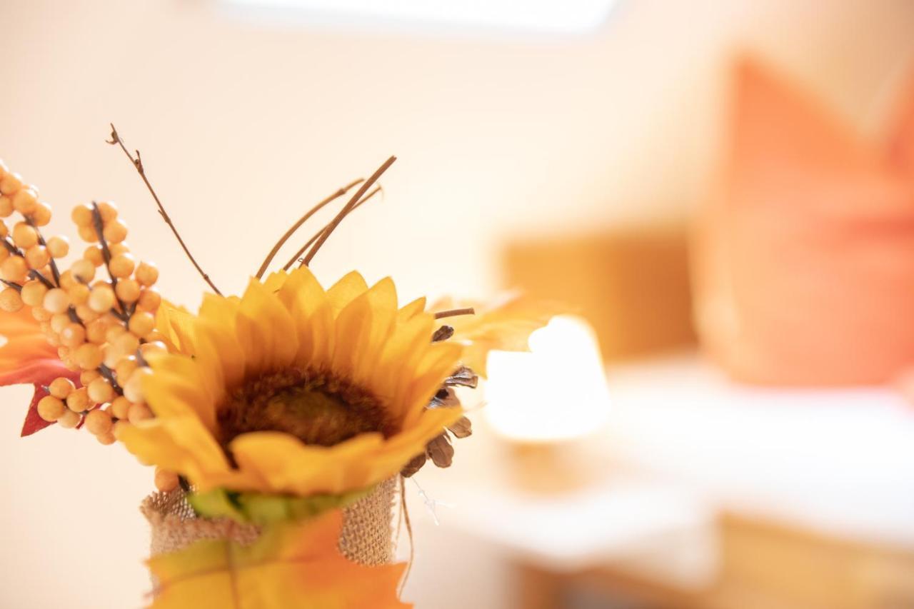 Haus Rosy Ferienwohnung สตูเบนเบิร์ก ภายนอก รูปภาพ