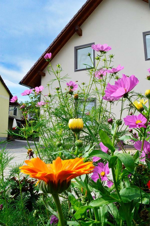 Haus Rosy Ferienwohnung สตูเบนเบิร์ก ภายนอก รูปภาพ
